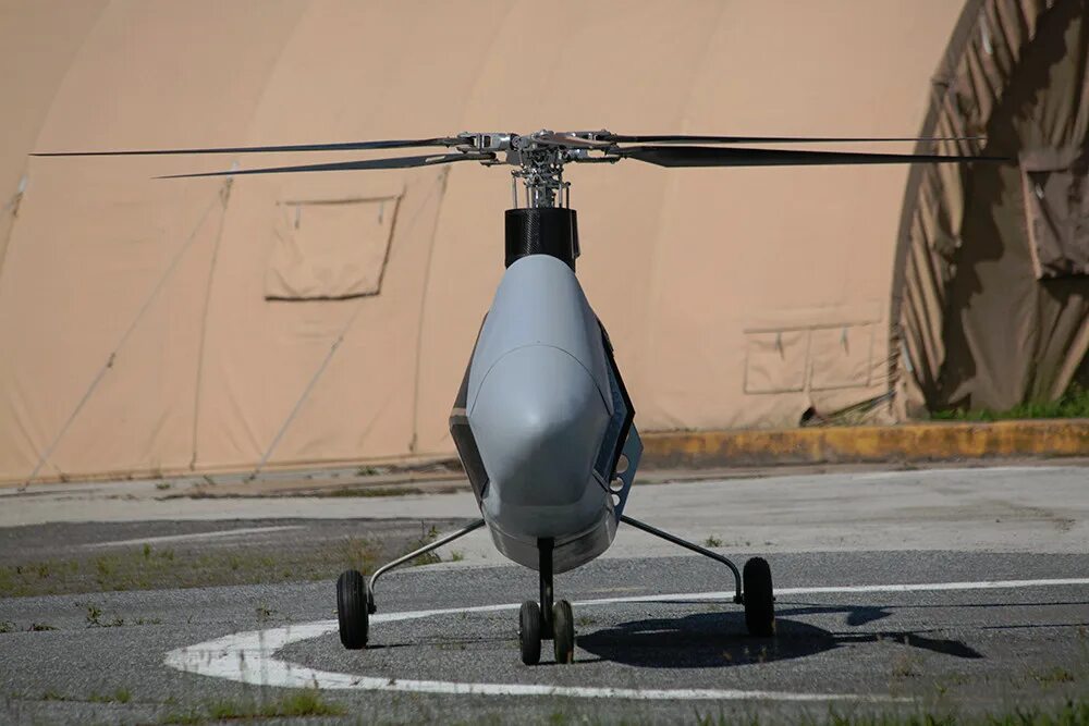 Бпла python. Бпла python. Бпла mq-9b. Phoenix ghost бпла. Uav 25 бпла.