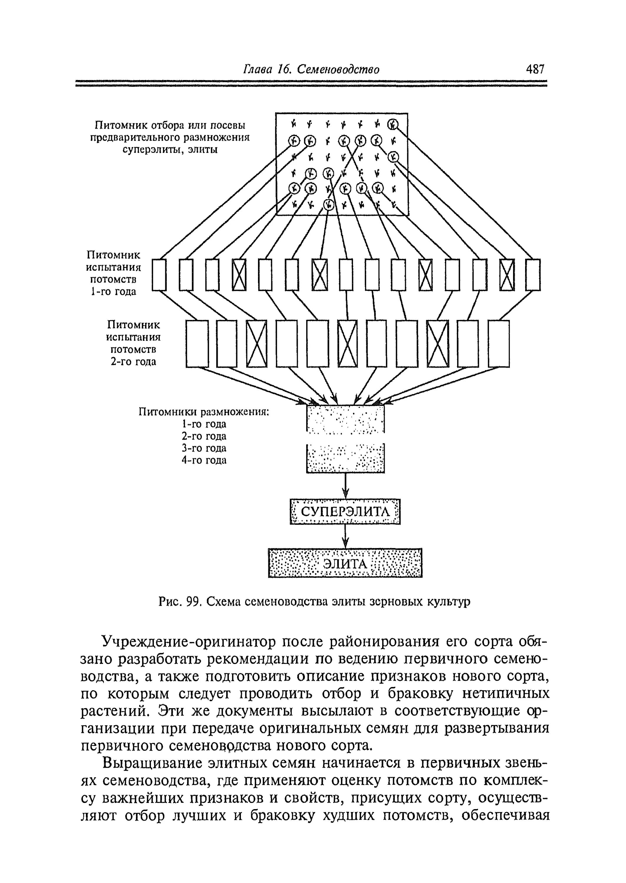 СПОСОБ ВОСПРОИЗВОДСТВА СОРТОВ ЗЕРНОВЫХ КУЛЬТУР