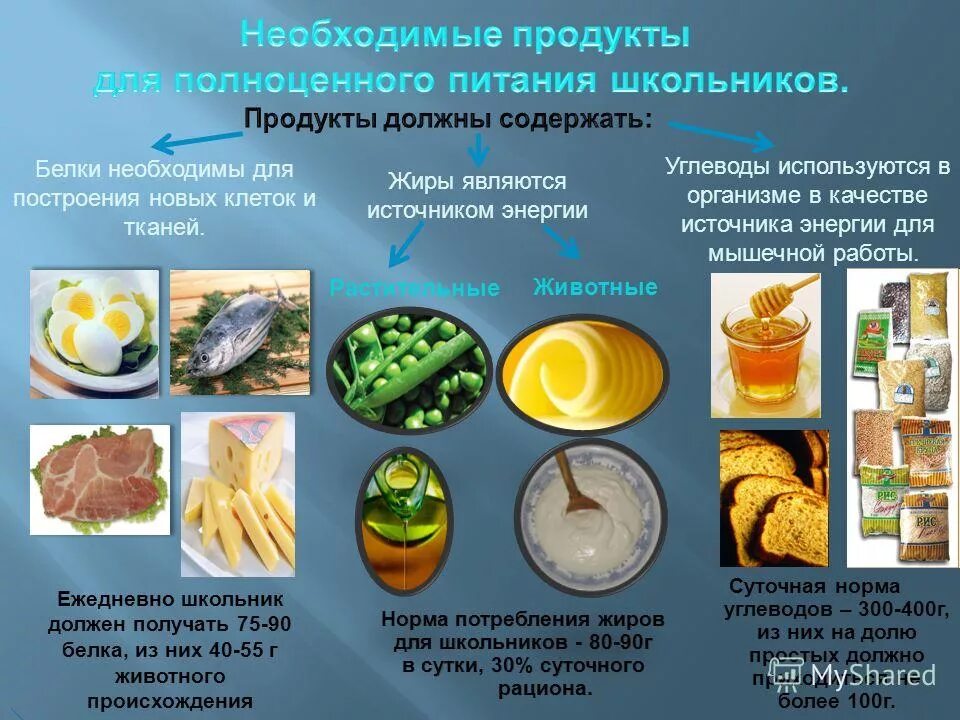 Необходимы для построения новых клеток и тканей. Рациональное питание. Продукты рационального питания. Необходимые продукты для полноценного питания. Рациональное питание школьника.