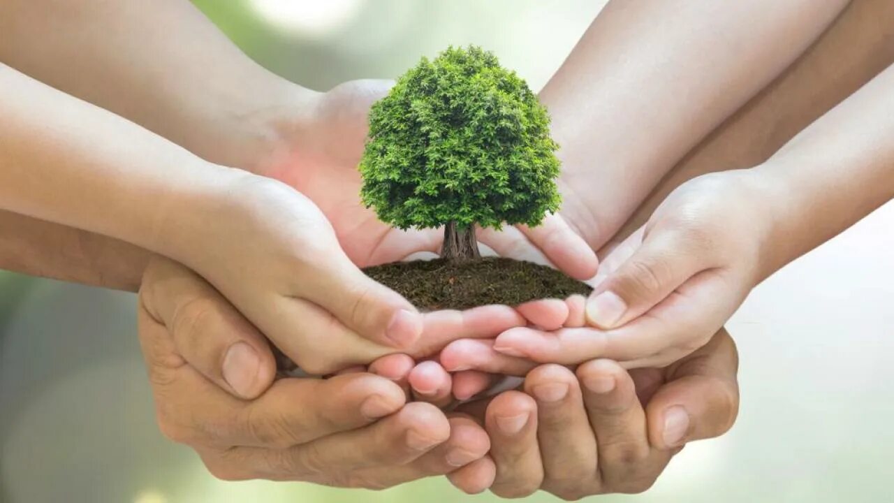 C get environment