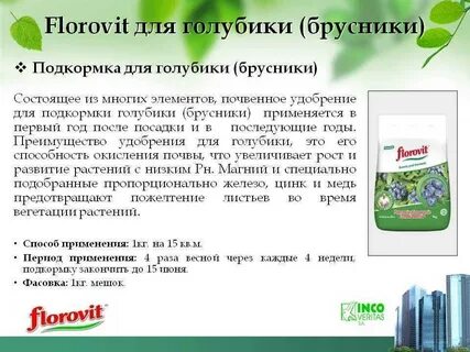 Подкормка голубики осенью