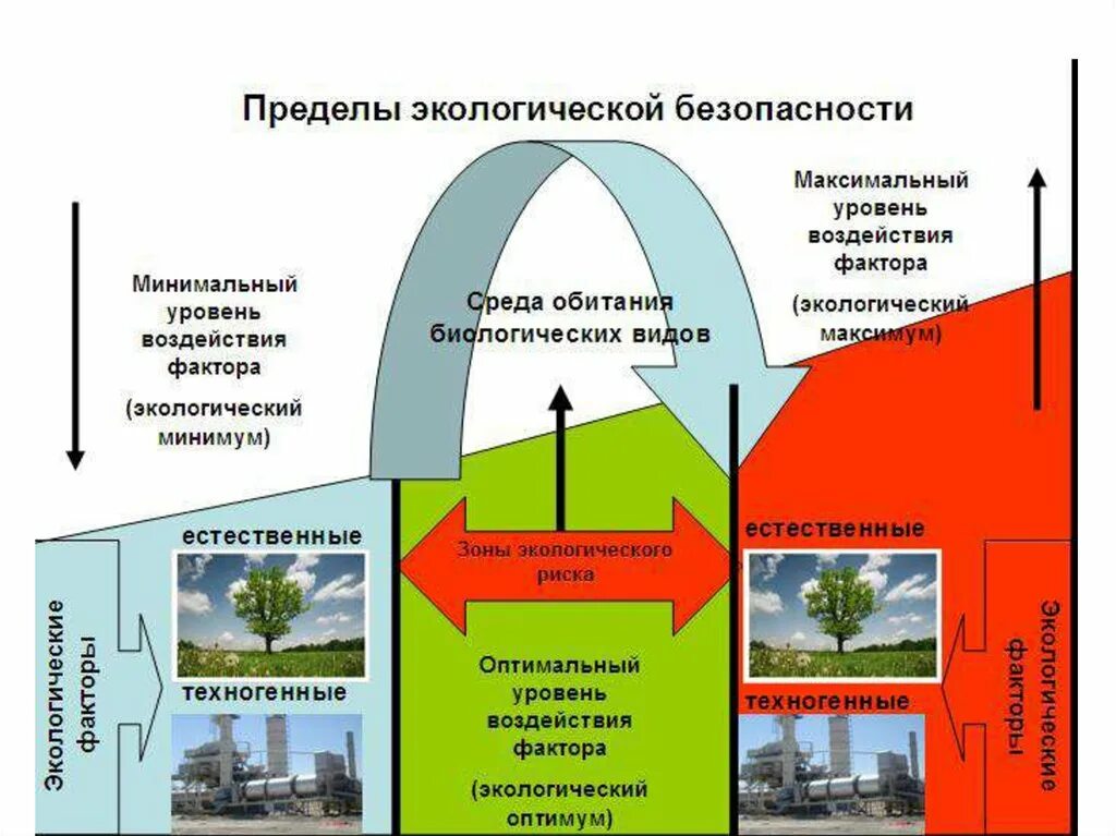 Экологическая безопасность. Экология и безопасность жизнедеятельности. Экологическая безопасность окружающей среды. Экологическоебезапасность.