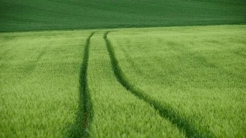 Как оформить поля