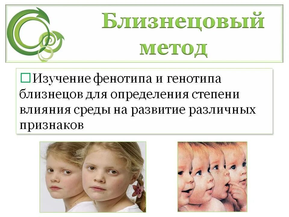 Науки использующие близнецовый метод. Близнецовый метод. близнецовый метод исследования. влияние генотипа и среды на развитие признака близнецовый метод. близнецовый метод это в биологии.