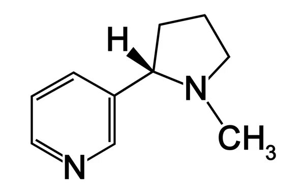 Никотин обмен веществ. Никотин структурная формула. Схема никотина. Химическая формула никотина. Никотин структура.