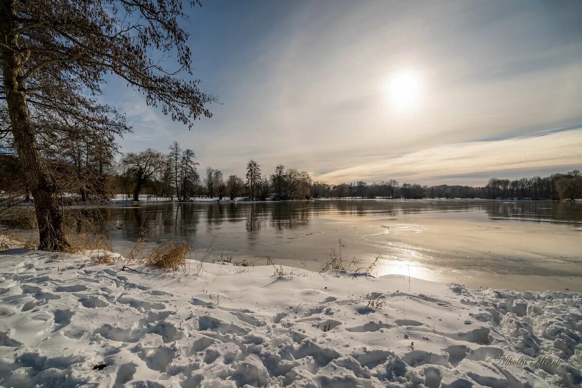 морозное солнечное утро. морозный солнечный день. зима мороз. деревья в снегу. солнце зимой.