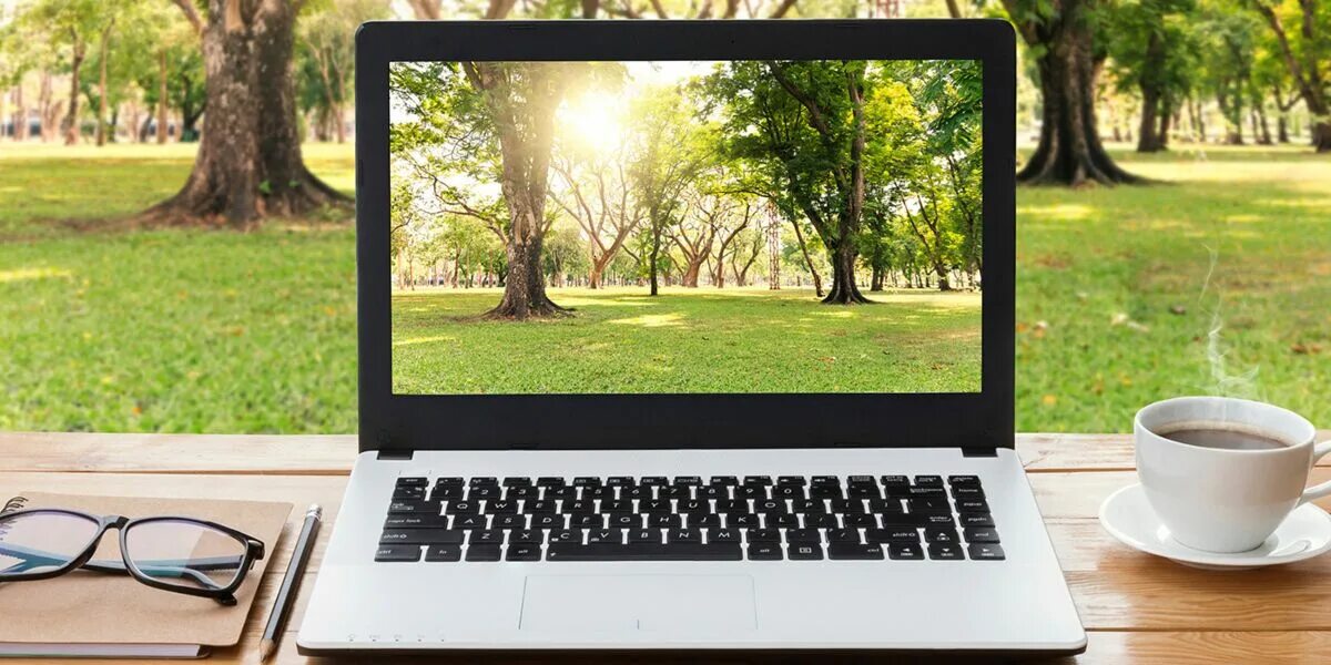 Colab notebook