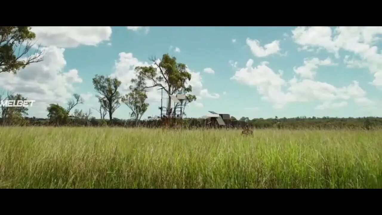 Muhabbat. Шахрукх кхан влюбленные 2015. Muhabbat va maxluqlar uzbek tilida. Севги ва махлуклар. G'aroyib maxluqlar.