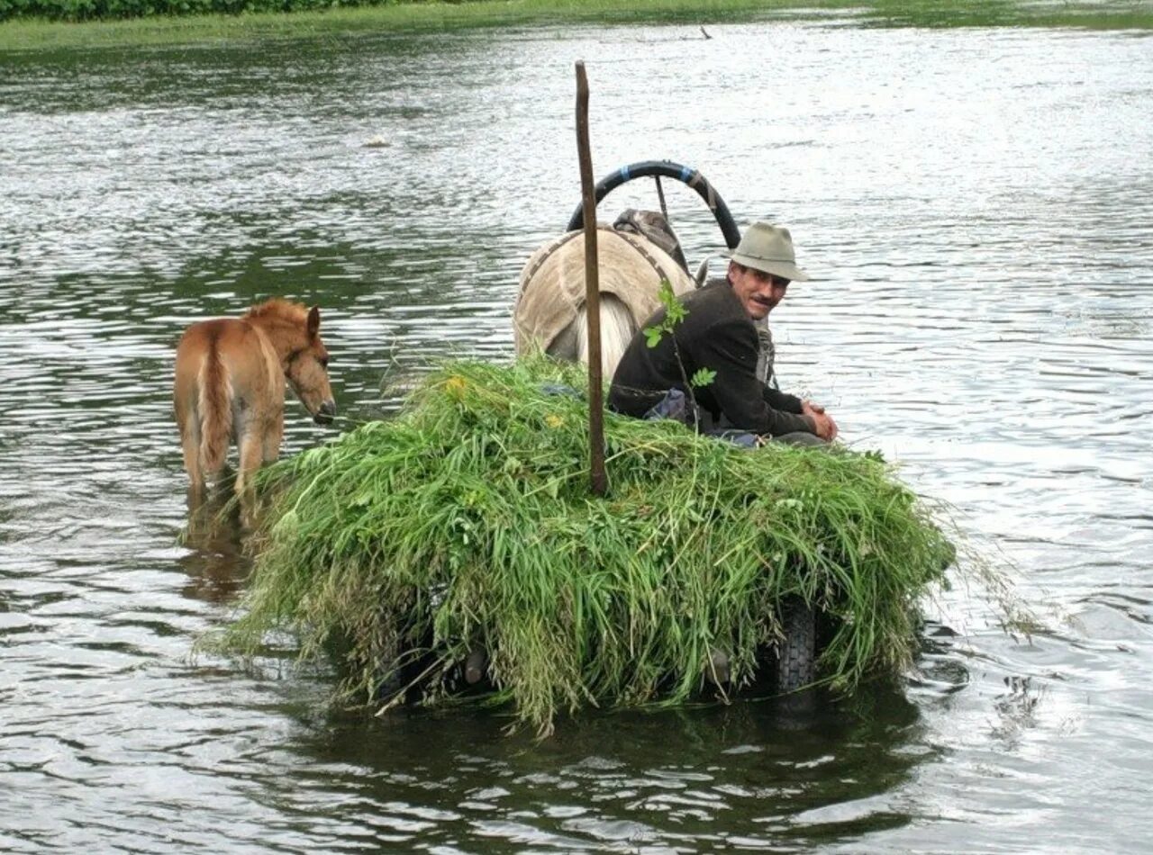Мужчина через реку. Деревенская жизнь. Картинки деревенской жизни. Рыбалка в деревне летом. Прикольные фото деревенской жизни.