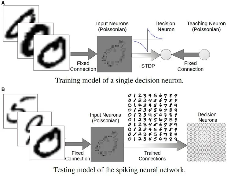 Visual recognition. Visual recognition