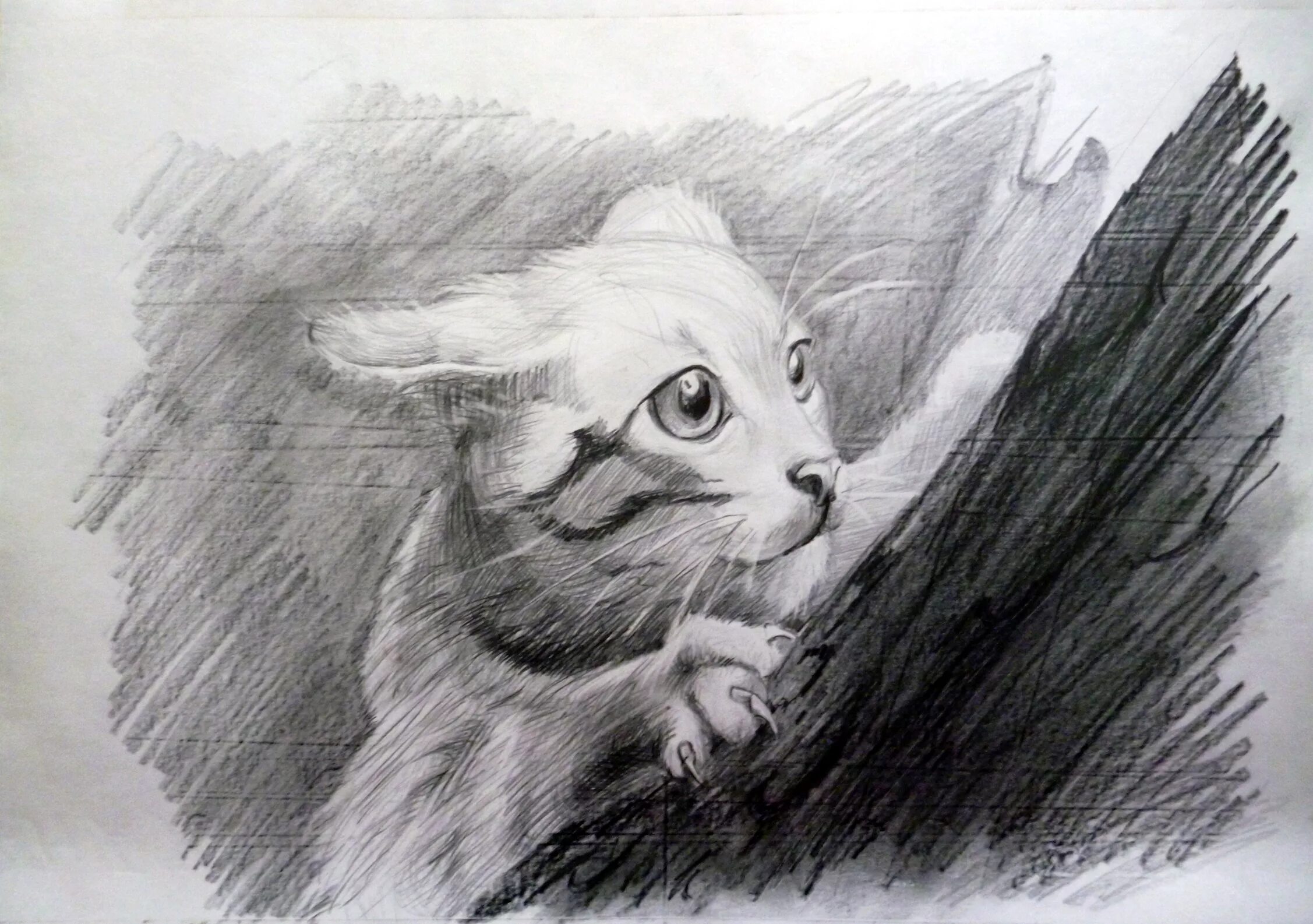 Pencil cats. Картины карандашом. Животные карандашом. Кошка карандашом. Кошка рисунок карандашом.