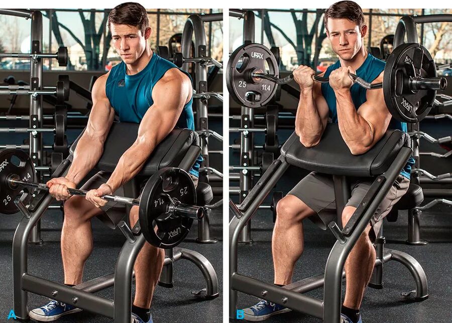 Подъем на бицепс на скамье скотта. Бицепс штангой на скамье скотта. Подъем штанги на скамье ларри скотта. Ларри скотт тренажер. Сгибание рук на скамье скотта.