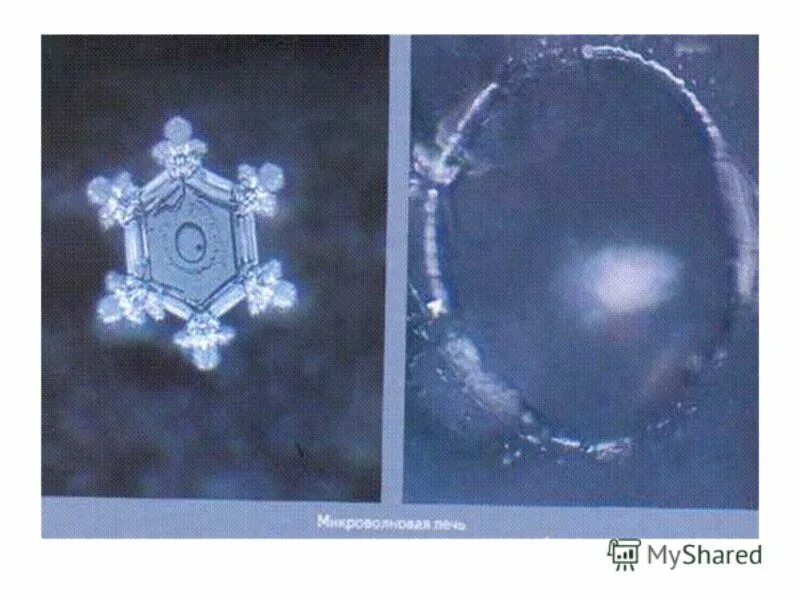 15 вода после. Когда пить воду. 15 вода после. Структура воды. Масару эмото кристаллы микроволновая.