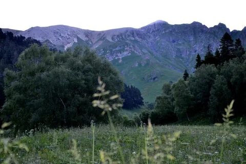 Наше большое село расположено в предгорьях впр