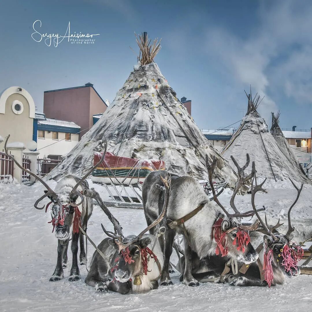 Краски севера. Анисимов фото Салехард.