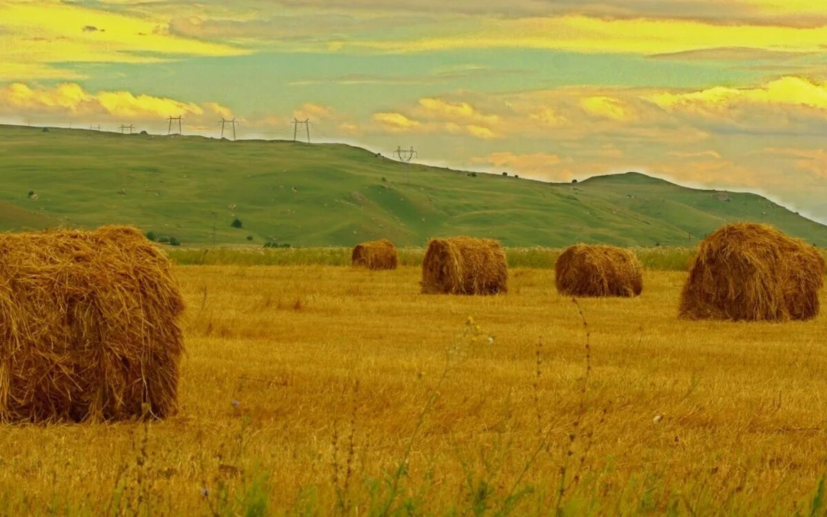 Стог сена в Живерни пейзаж. Скирда сноп. Поля со стогами сена Астрахань. Стога сено деревня татар. Три стога сена