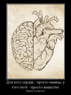 Неизвестный афоризмы