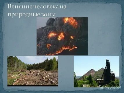 Изменение тайги под воздействием человека