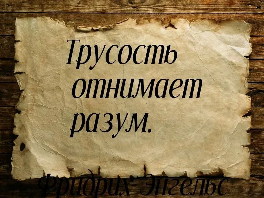 Трусость это. Трусость цитаты. фразы про трусость. человеческая трусость. высказывания о трусости.