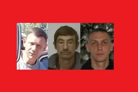 Следователи ищут