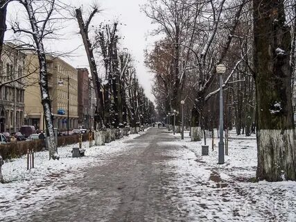 Погода в выборге в ноябре