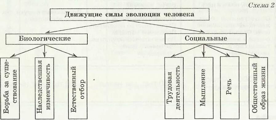 Факторы антропогенеза схема. Факторы движущие силы антропогенеза схема. Движущие силы эволюции схема. Движущие силы развития человека Антропогенез.