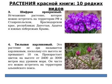 Растения занесенные в краснодарскую красную книгу