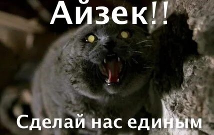 Make whole
