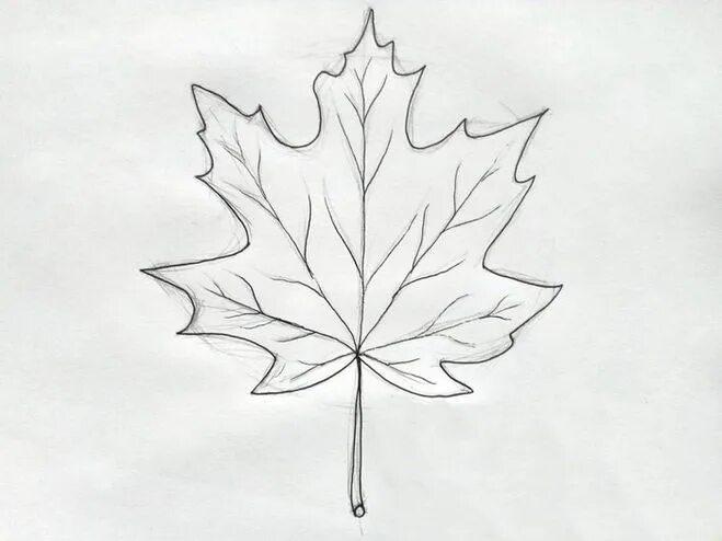 Листья карандашом легко. Рисование кленового листа. Листья карандашом. Кленовый лист поэтапное рисование. Лист клёна рисунок карандашом.