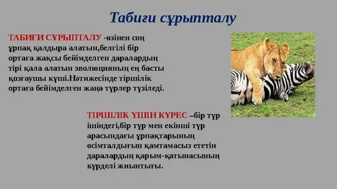 Анусты қалай біртіндеп үлкейтуге болады