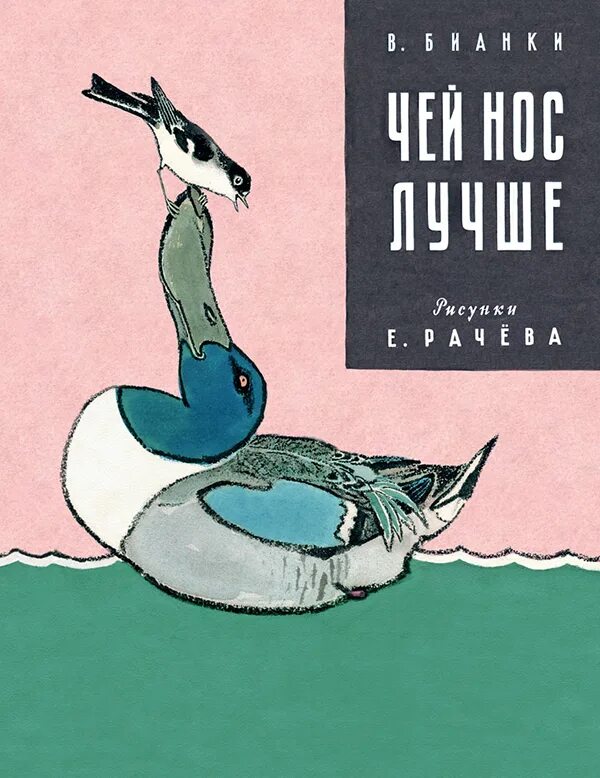 книга бианки чей нос лучше. чей нос лучше краткое содержание. в. сказка бианки чей нос лучше. чей нос лучше краткое содержание.
