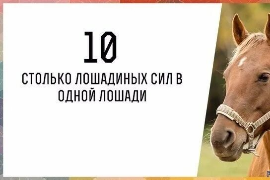 Почему лошадиные силы