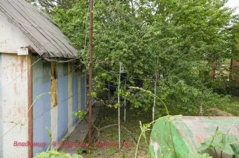 Снт виноградарь