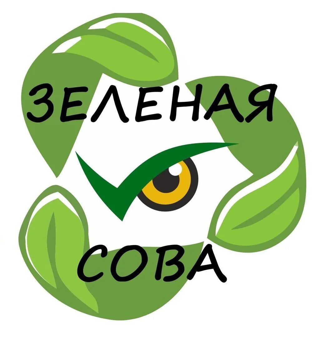 Зеленая Сова. Зеленая Сова лого. Логотип зеленый Совенок. Сова салатовая. Зеленая сова английский