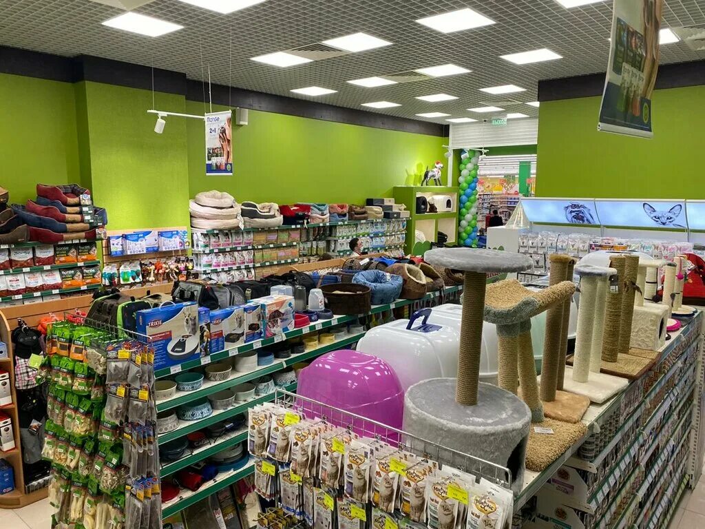 лапушки магазин для животных. труда 38 псков. зоомагазин бронницы. зоомагазин бронницы. орск орский пр зоомаг.