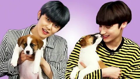 Dog mp3