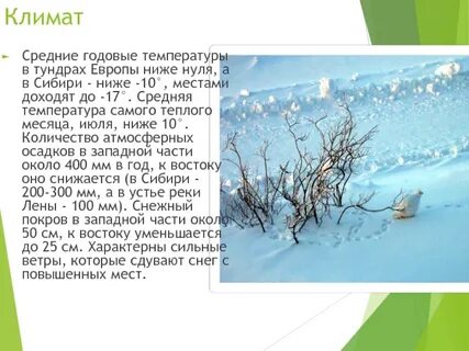Средняя температура зимой и летом в тундре