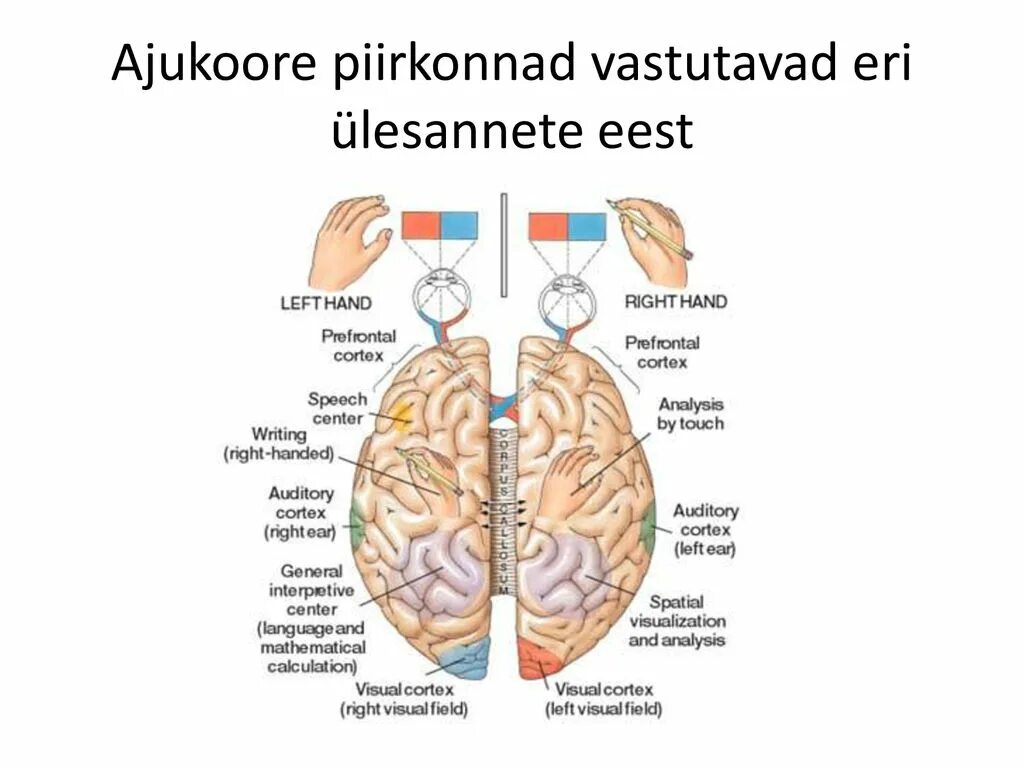 Split-Brain (Computing). Tech Diving:Split-Brain DNS:.