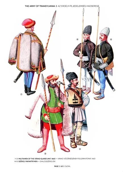 Армия Трансильвании 17 век. Трансильванские венгры флаг. Национальная одежда венгров Трансильвании. Войско Трансильвании. Турок завоеватель 5 букв