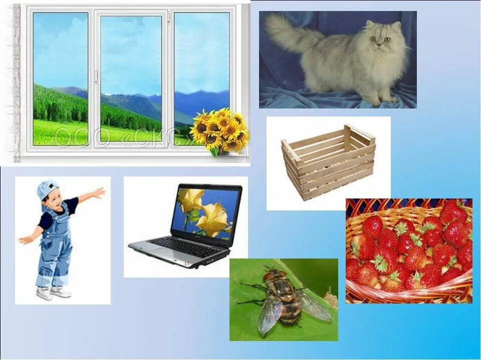 Рисунки одушевлённых и неодушевлённых предметов. 2 неодушевленных предметов. 2 неодушевленных предметов. Одушевлённые и неодушевлённые имена существительные 2 класс. Одушевленные и не одушевленн предметы.