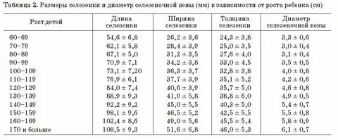 Размеры селезенки у подростков