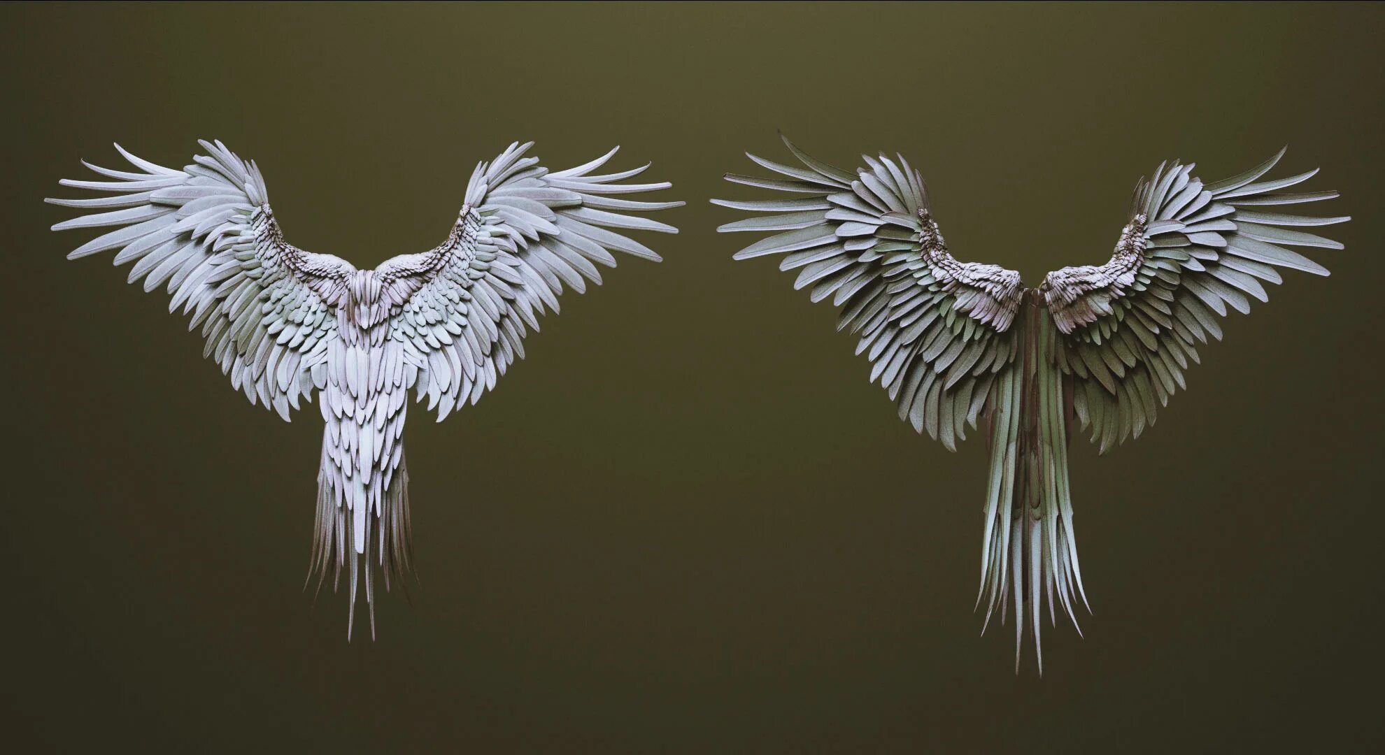 Белые 3 крылья. Крылья референс. крылья збраш. крылья 3d модель. wings zbrush.