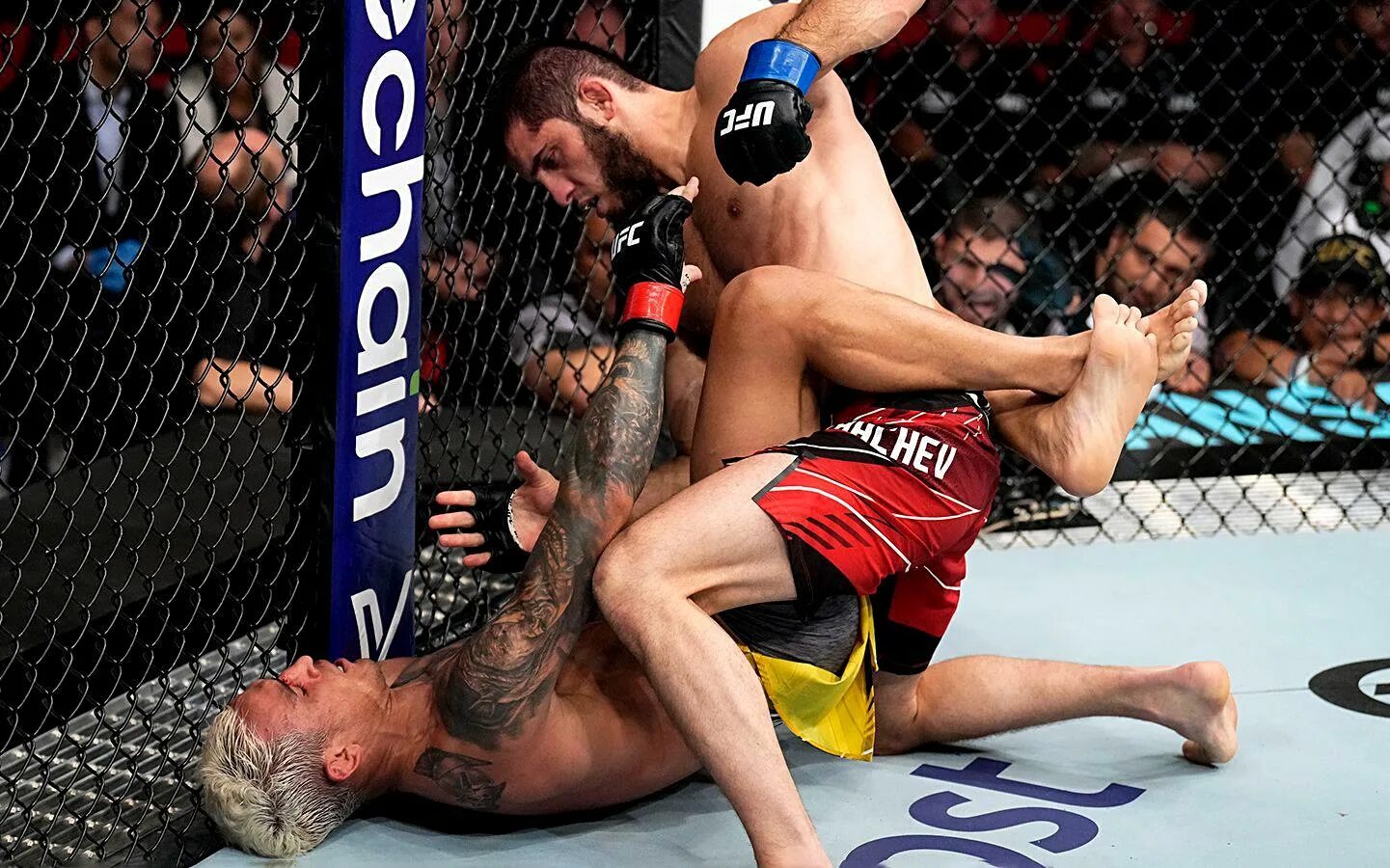 Джаред канонир шон стрикленд. Пояс ufc у ислама махачева. Хамзат чимаев кевин. Где трансляция юфс. Ufc трансляция.