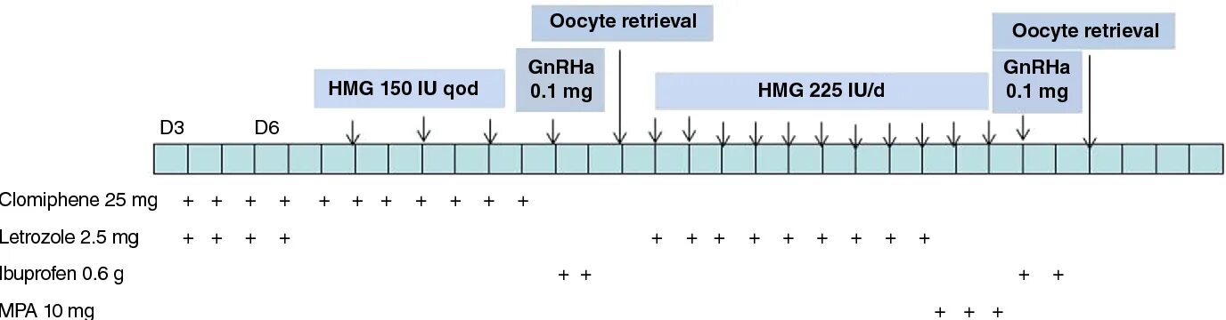 Летрозол овуляция отзывы. Стимуляция овуляции летрозолом схема. Стимуляция овуляции протокол схема. Летрозол для стимуляции овуляции схема. Протокол стимуляции овуляции короткий.