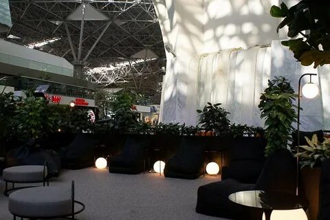Lounge внуково
