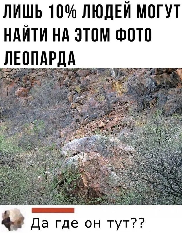 Тут вижу тут не вижу