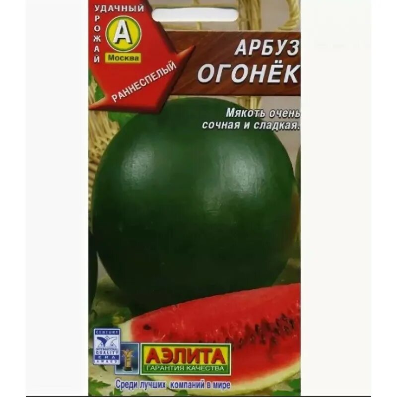 Арбуз огонек отзывы описание. Арбуз огонек отзывы описание. Гавриш арбуз огонёк. Огоньки в огород. Сорт арбуза огонек описание.