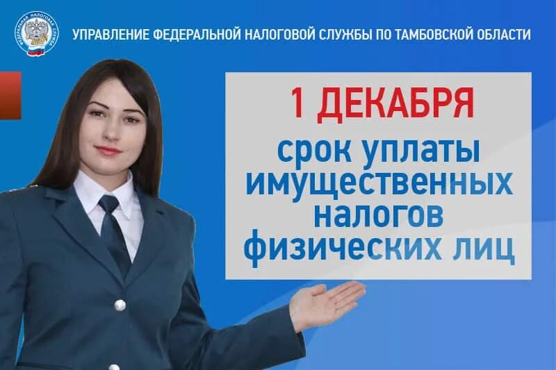 Фнс срок уплаты налогов. Фнс плакат. плакат фнс об уплате налогов. фнс заплатить налоги фнс. фнс до 1 декабря.