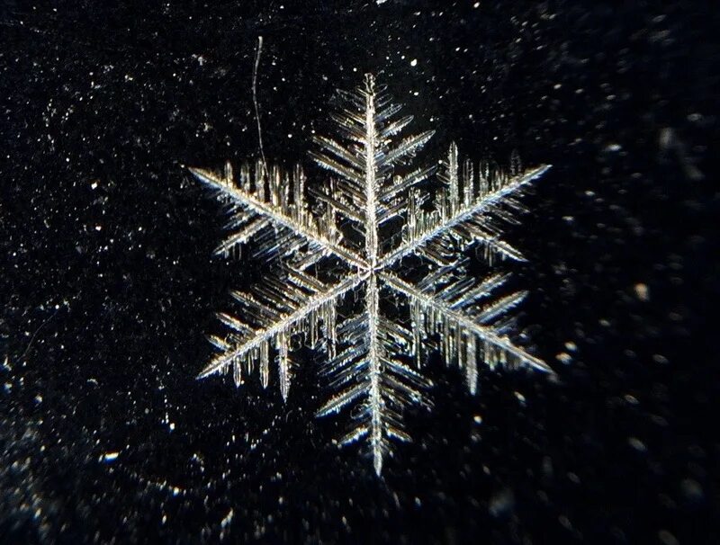 зима снежинки. снежинки зимнее волшебство. зима снежинки. зима снежинки волшебство. зима снежинки.