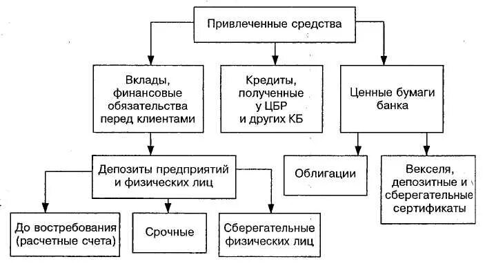 Привлеченные заемные средства предприятия